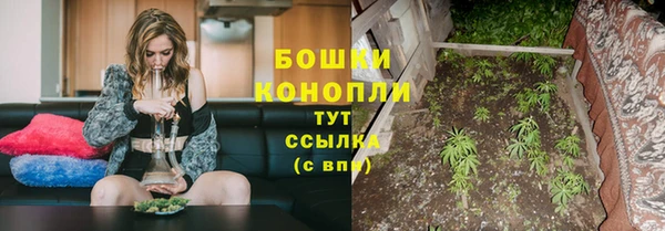 тгк Магадан
